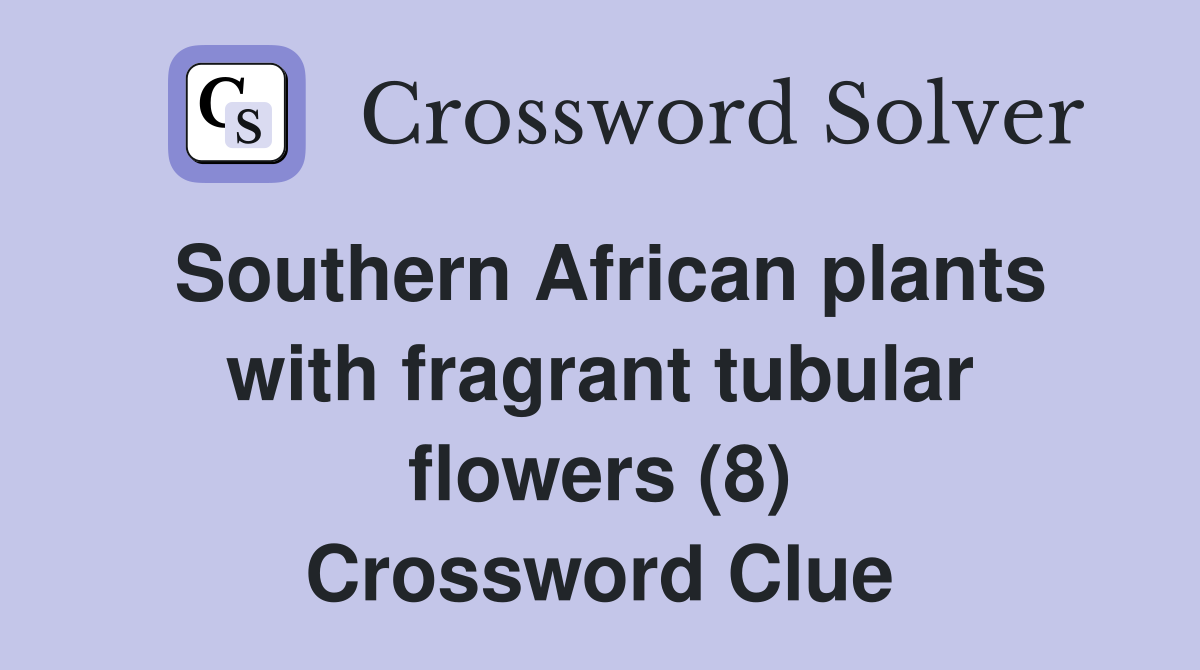 Southern African plants with fragrant tubular flowers (8) Crossword Clue