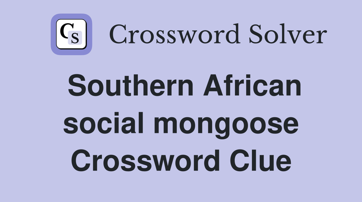 Southern African social mongoose Crossword Clue