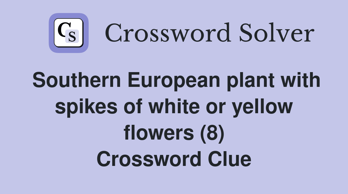 Southern European plant with spikes of white or yellow flowers (8) Crossword Clue