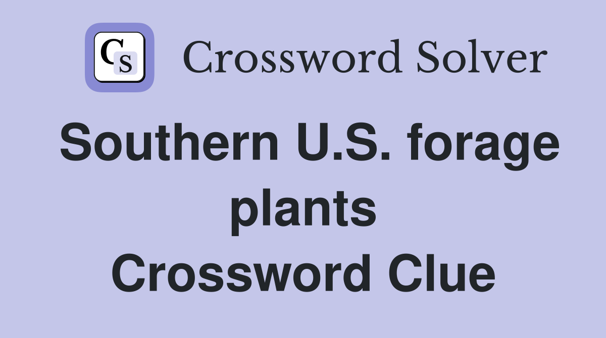 Southern U.S. forage plants Crossword Clue