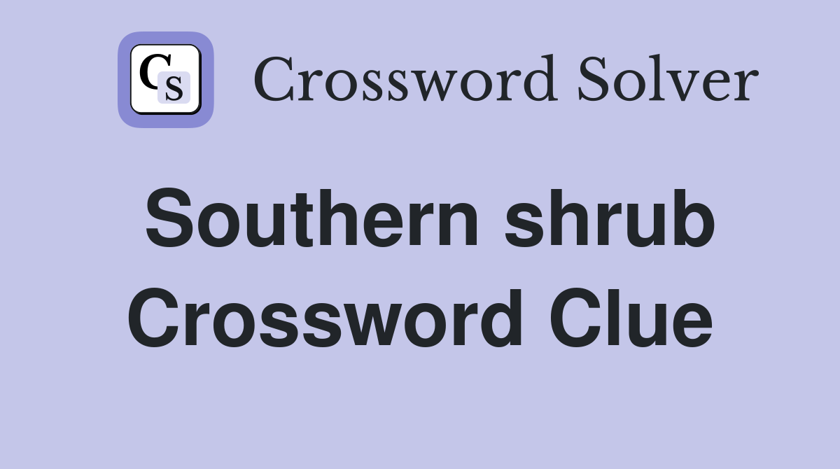 Southern shrub Crossword Clue
