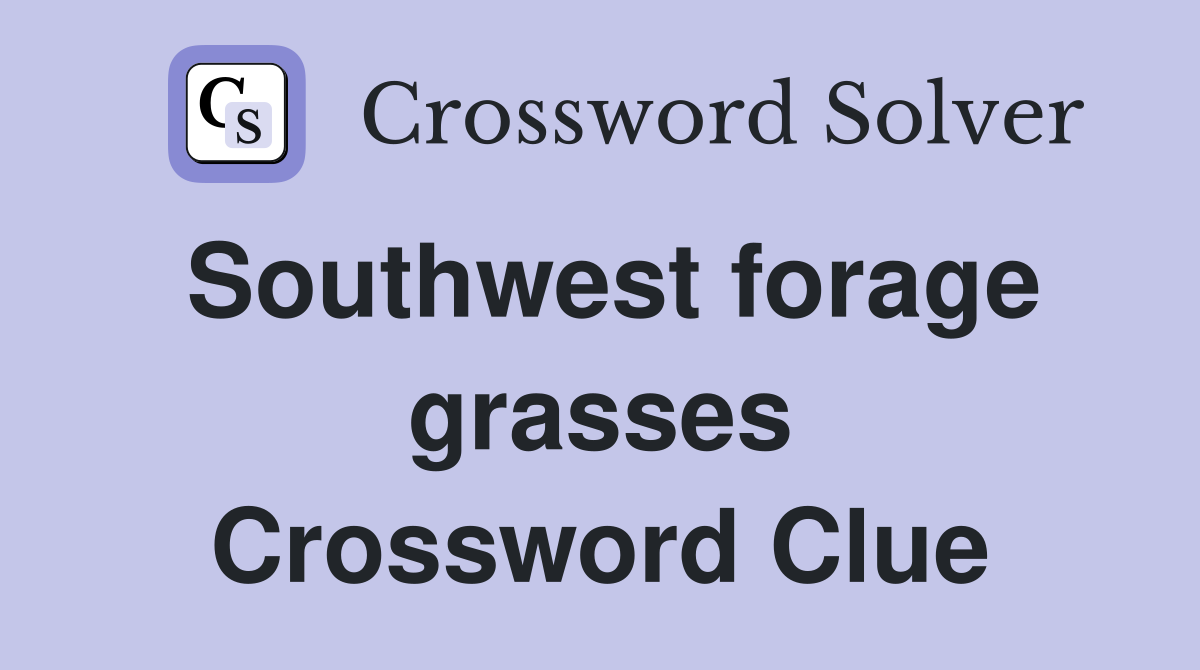 Southwest forage grasses Crossword Clue
