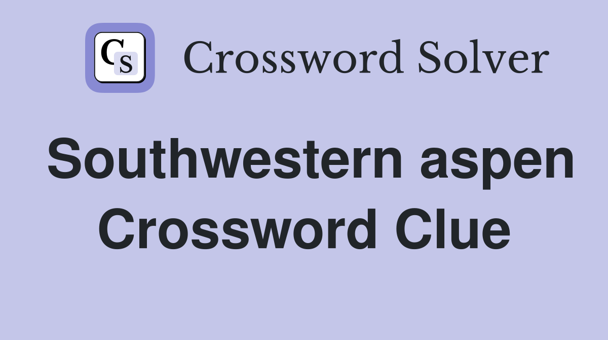 Southwestern aspen Crossword Clue
