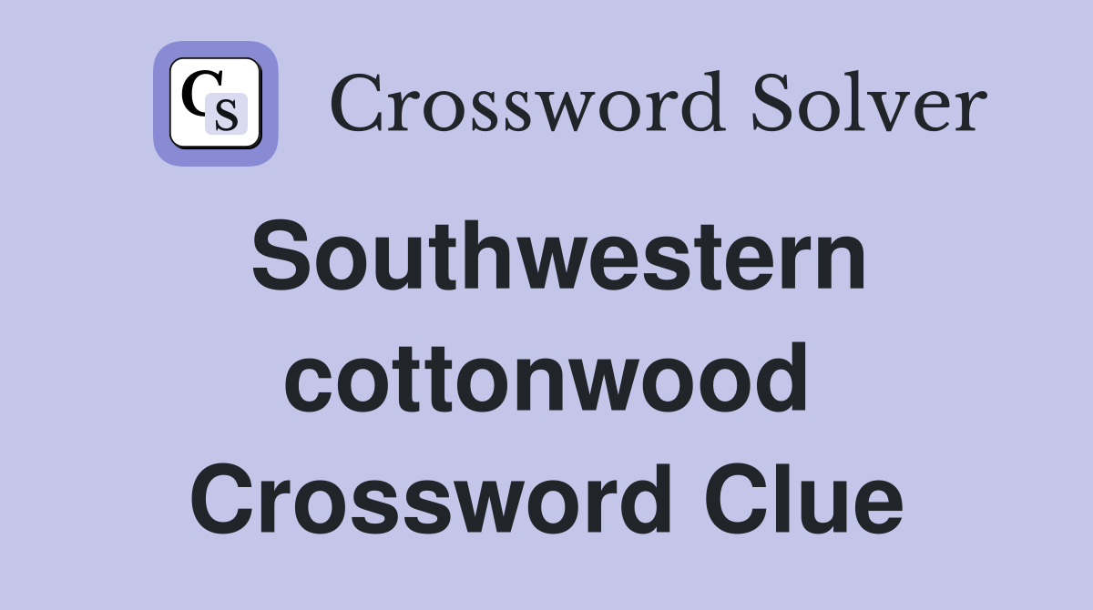 Southwestern cottonwood Crossword Clue