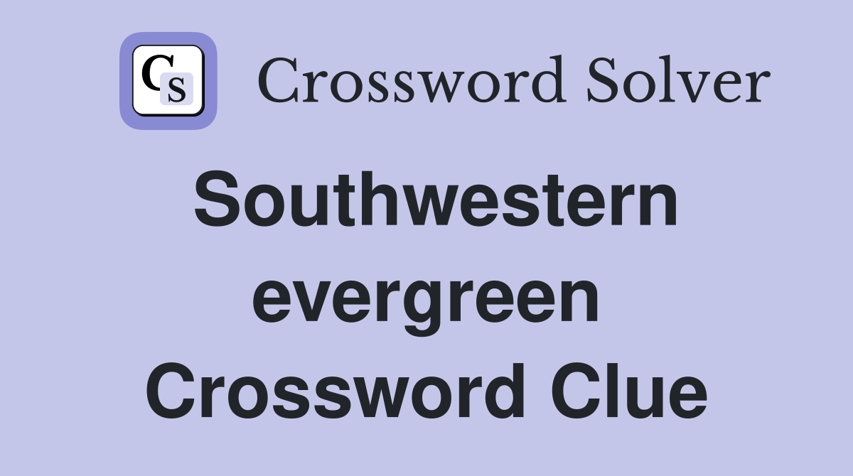 Southwestern evergreen Crossword Clue