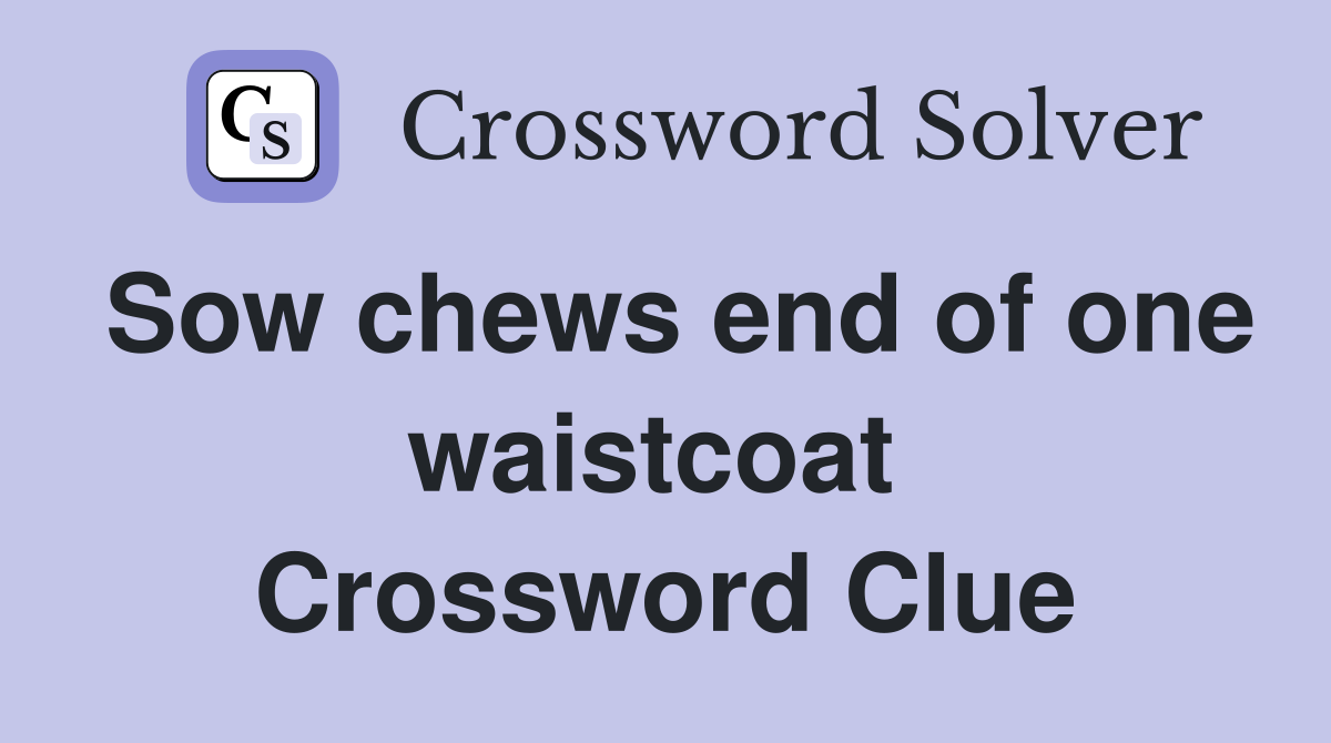 Sow chews end of one waistcoat  Crossword Clue