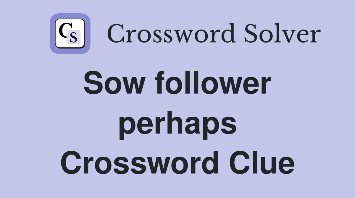 Sow follower  perhaps Crossword Clue