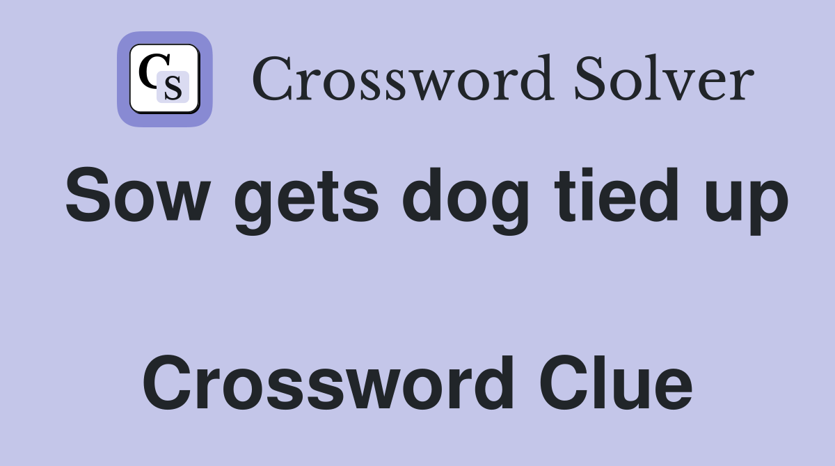 Sow gets dog tied up  Crossword Clue