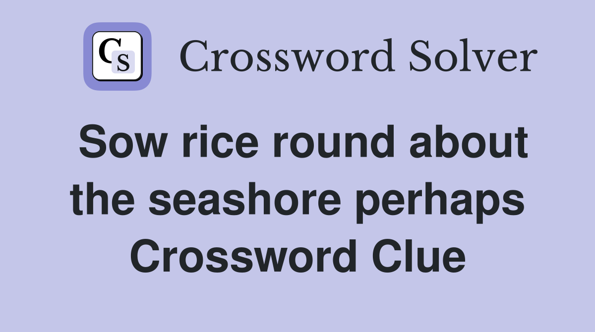 Sow rice round about the seashore perhaps Crossword Clue