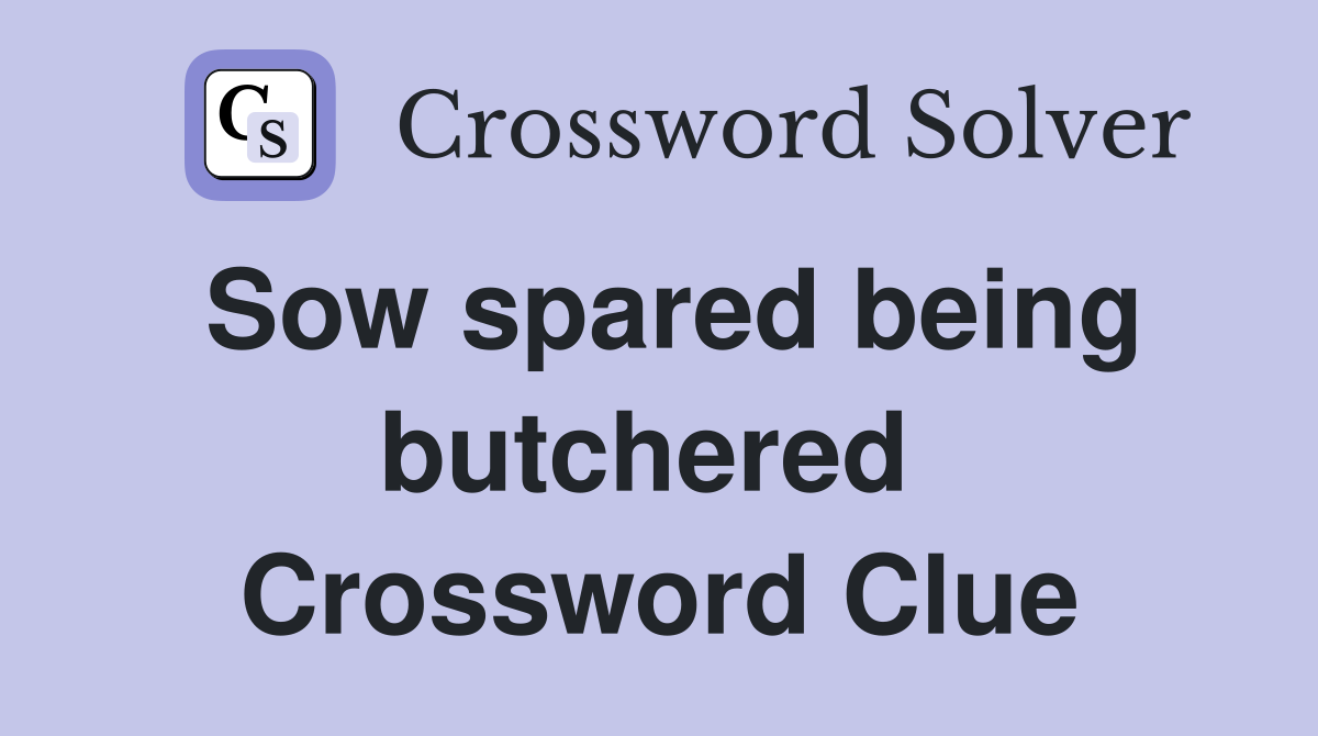 Sow spared being butchered  Crossword Clue