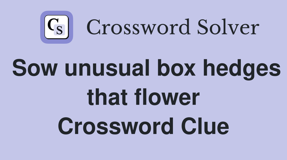 Sow unusual box hedges that flower Crossword Clue