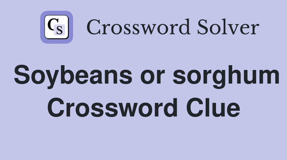 Soybeans or sorghum Crossword Clue