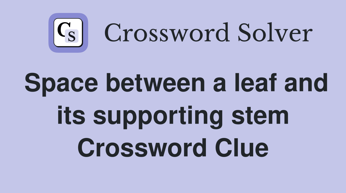 Space between a leaf and its supporting stem Crossword Clue
