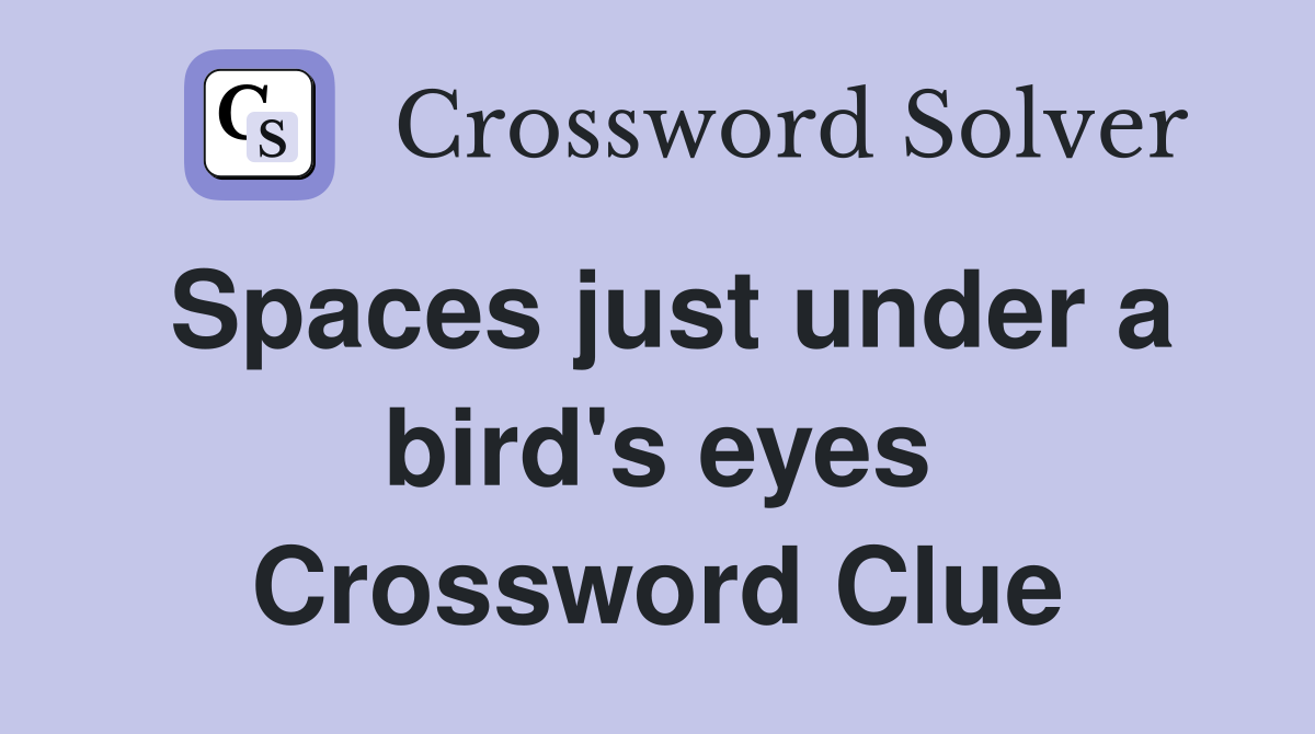 Spaces just under a bird's eyes Crossword Clue
