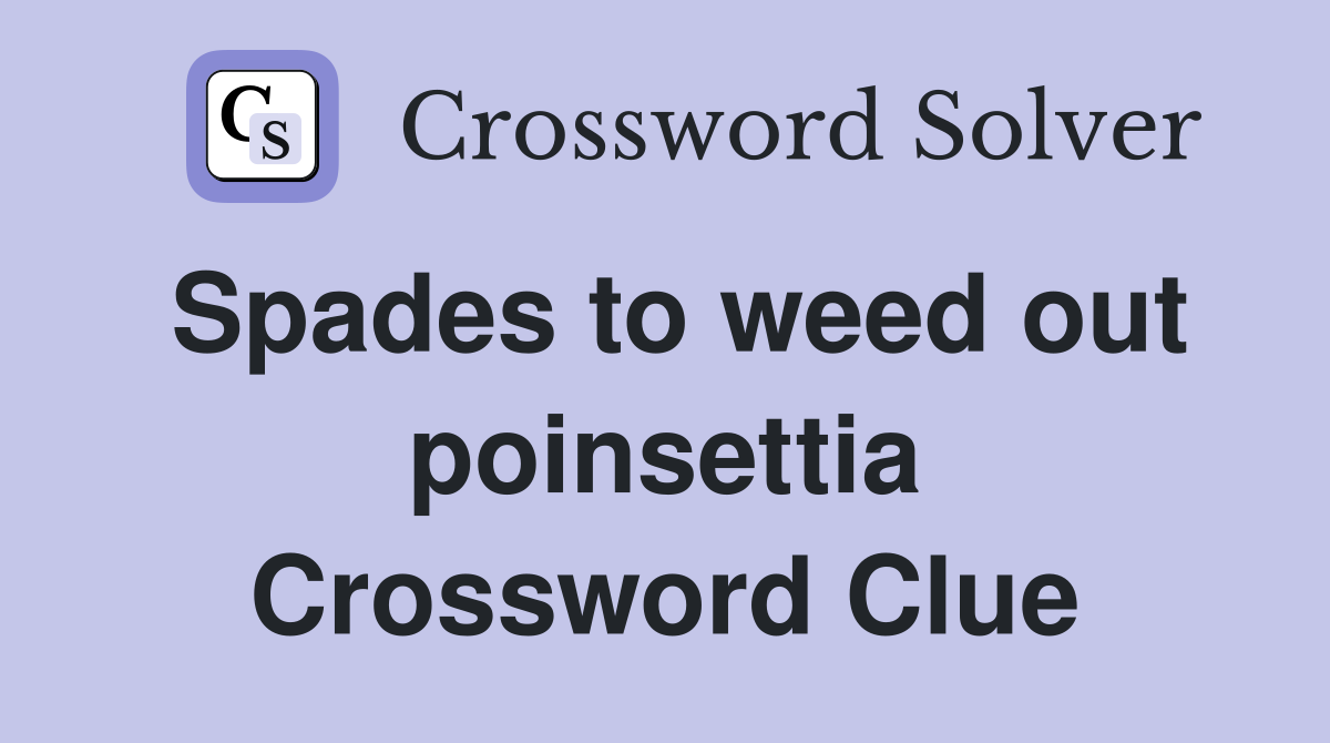Spades to weed out poinsettia Crossword Clue