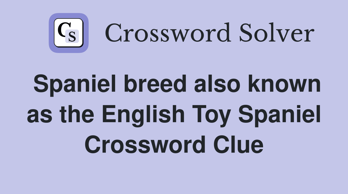 Spaniel breed also known as the English Toy Spaniel Crossword Clue