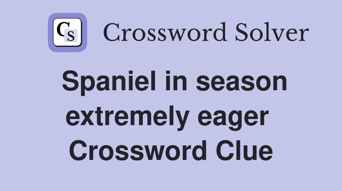 Spaniel in season extremely eager  Crossword Clue