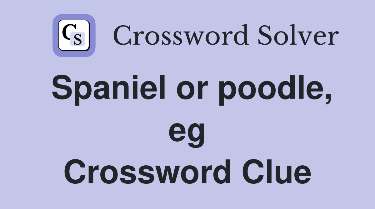 Spaniel or poodle, eg Crossword Clue