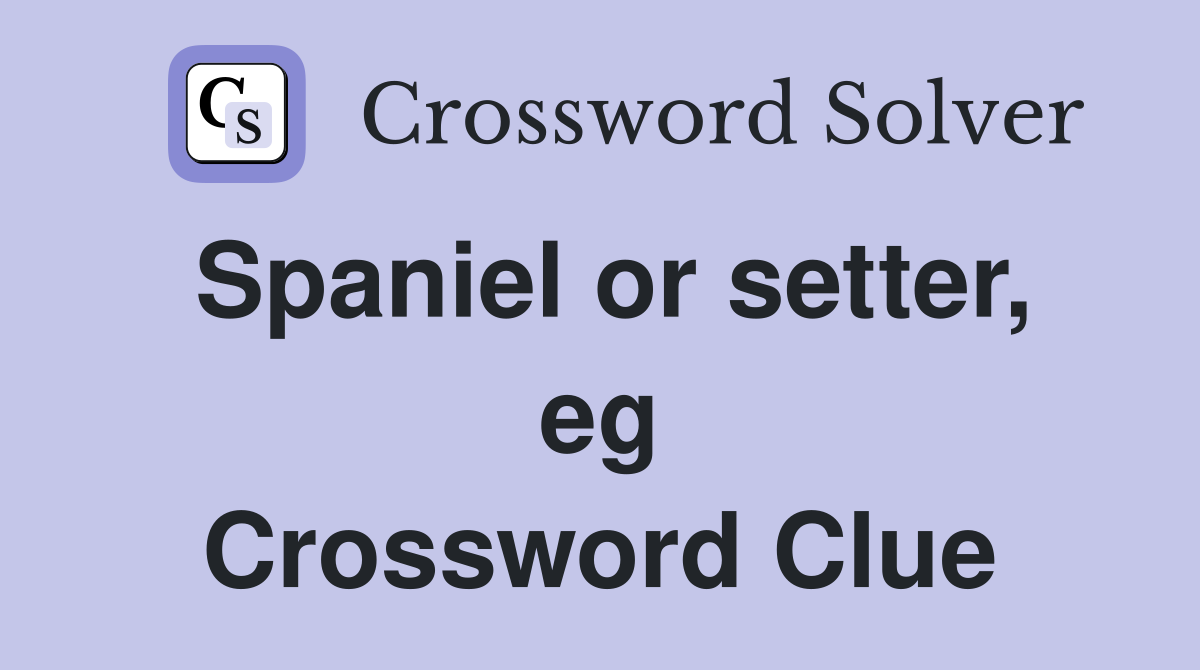 Spaniel or setter, eg Crossword Clue