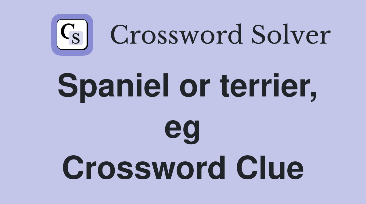 Spaniel or terrier, eg Crossword Clue