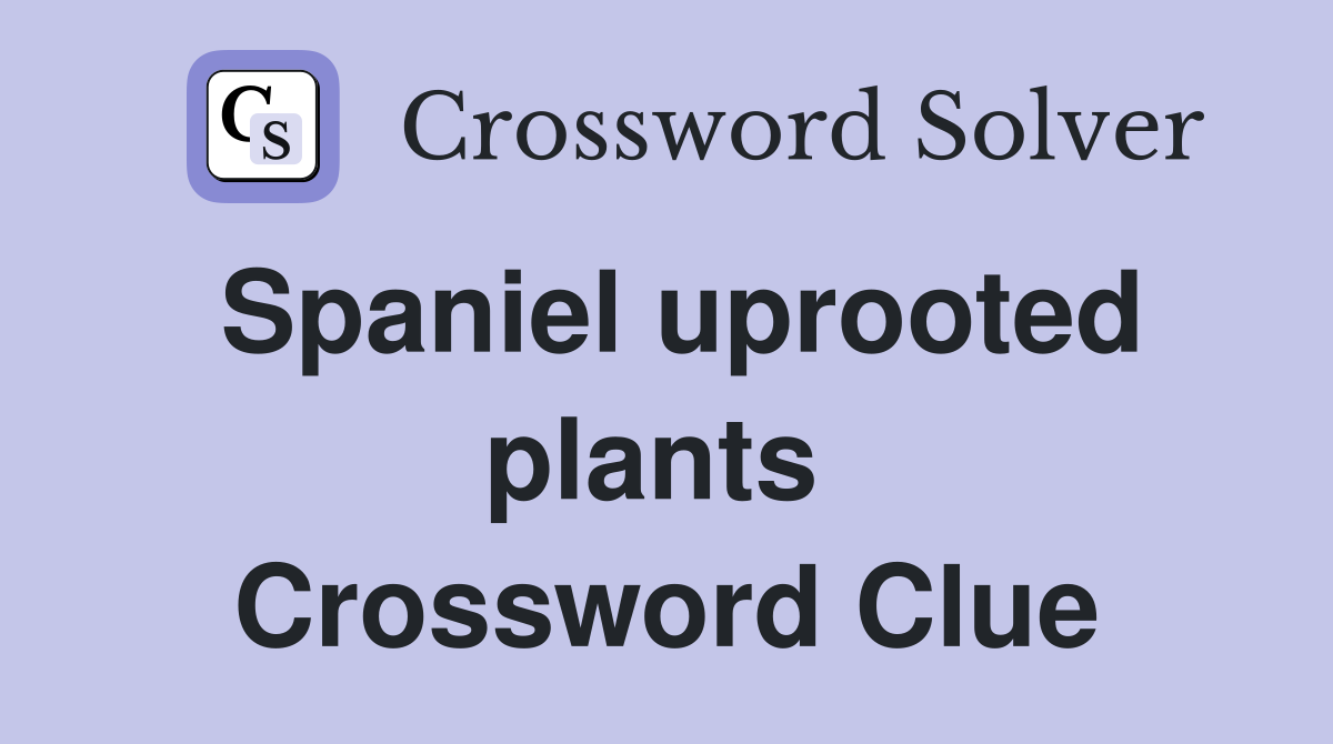 Spaniel uprooted plants  Crossword Clue