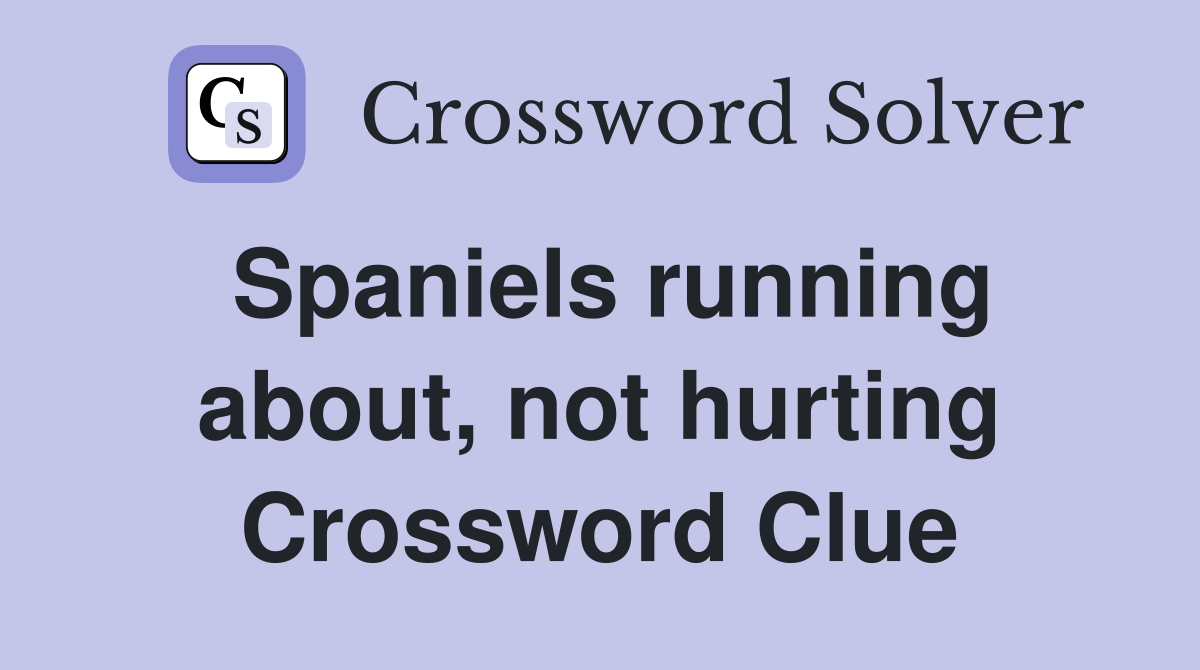 Spaniels running about, not hurting Crossword Clue