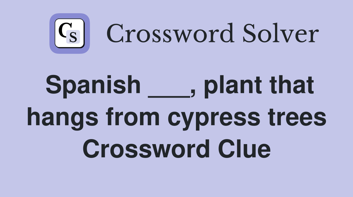 Spanish ___, plant that hangs from cypress trees Crossword Clue