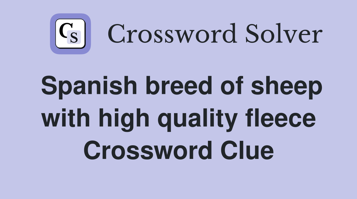 Spanish breed of sheep with high quality fleece Crossword Clue
