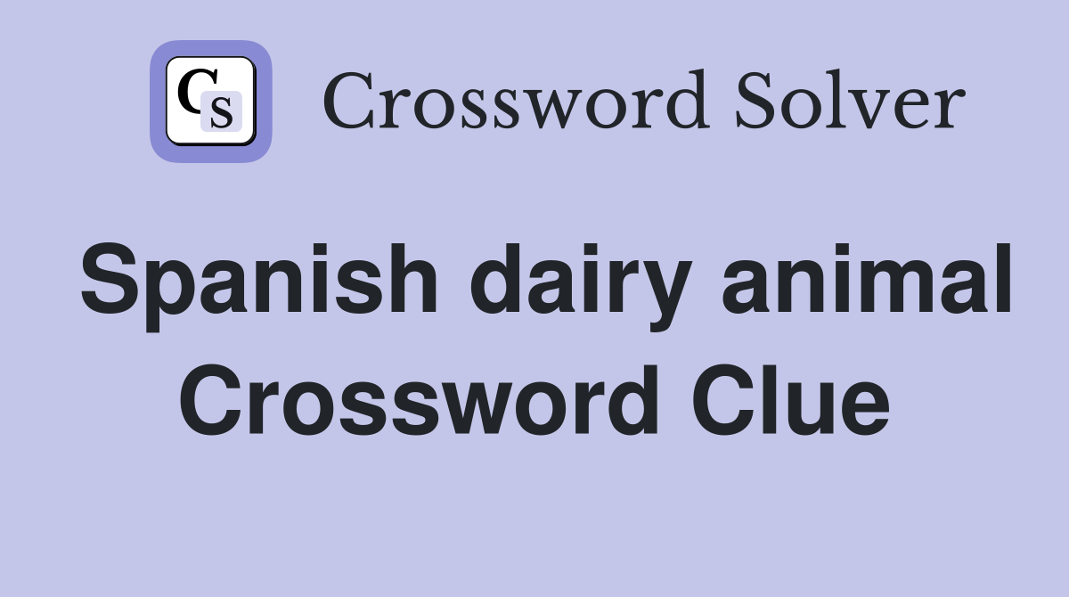 Spanish dairy animal Crossword Clue