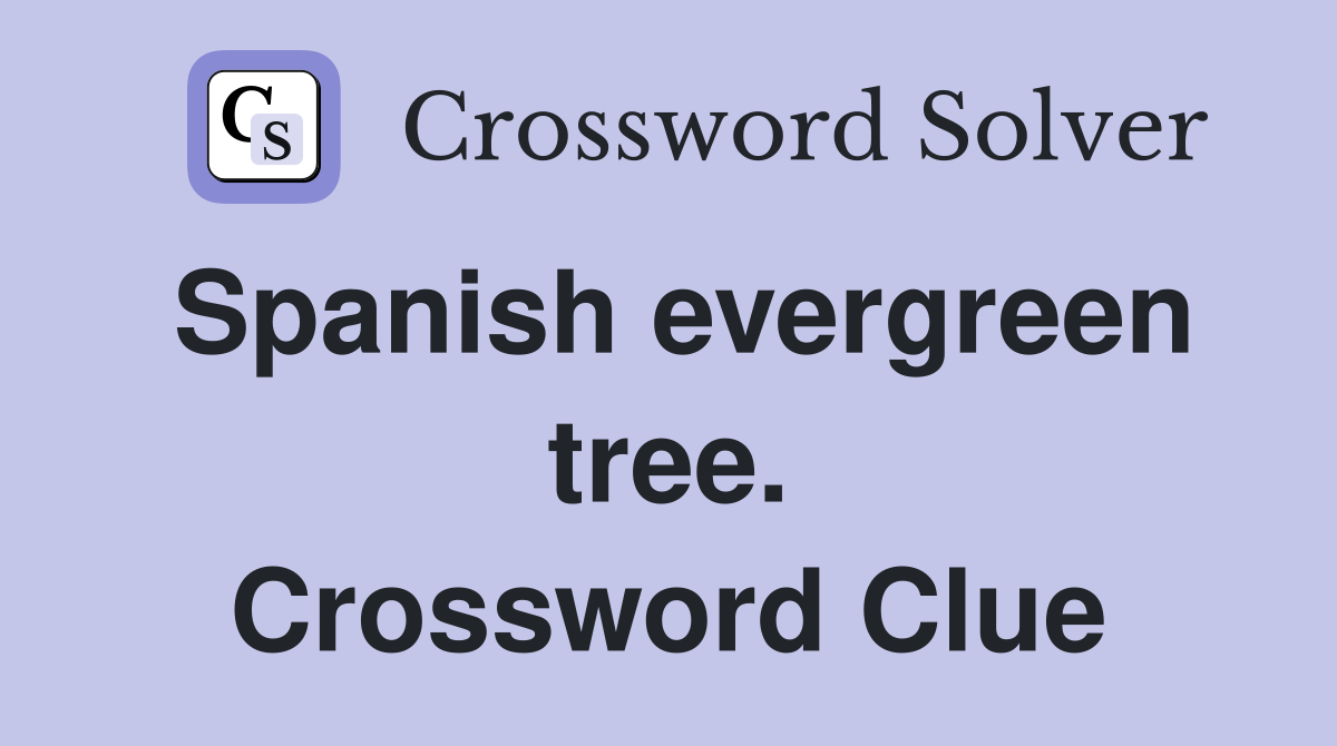 Spanish evergreen tree. Crossword Clue