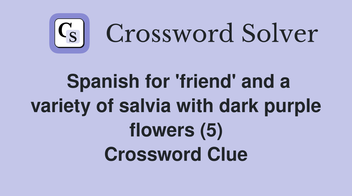 Spanish for 'friend' and a variety of salvia with dark purple flowers (5) Crossword Clue