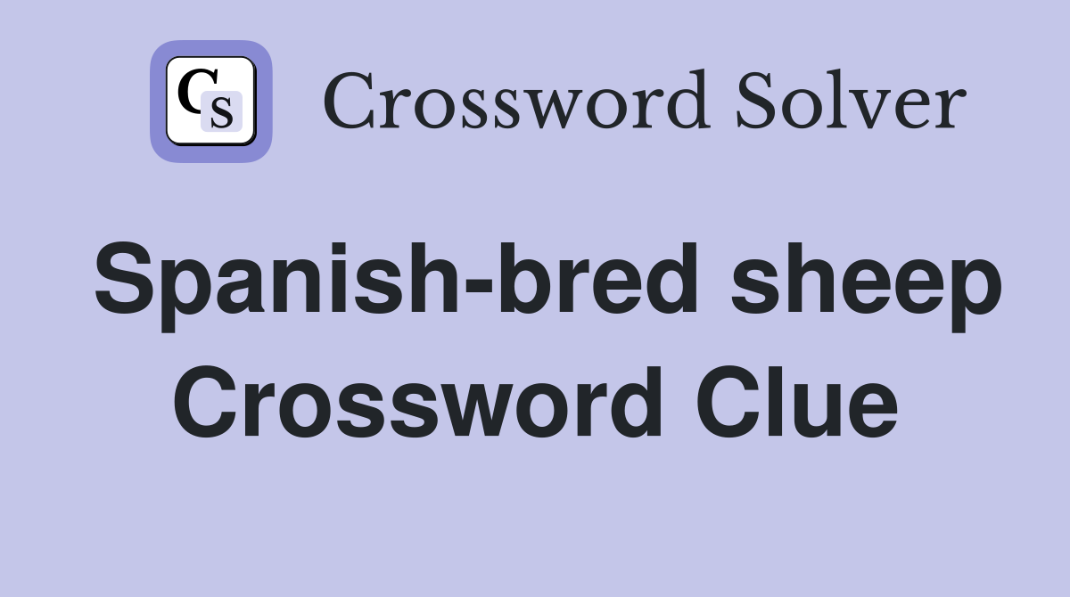 Spanish-bred sheep Crossword Clue