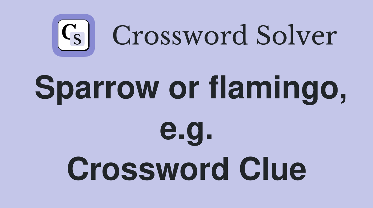 Sparrow or flamingo, e.g. Crossword Clue