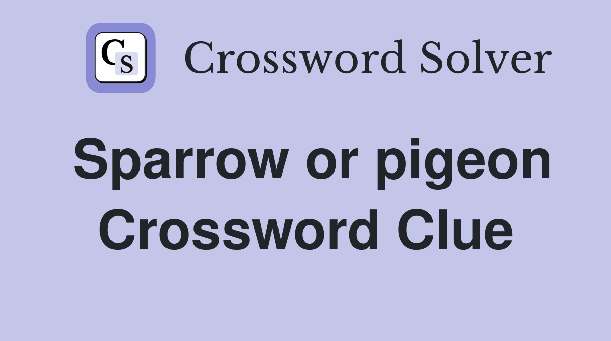 Sparrow or pigeon Crossword Clue