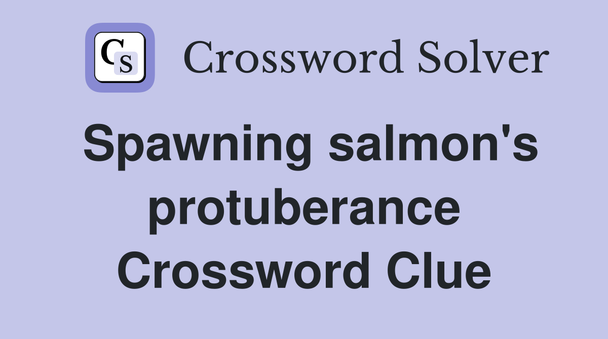 Spawning salmon's protuberance Crossword Clue