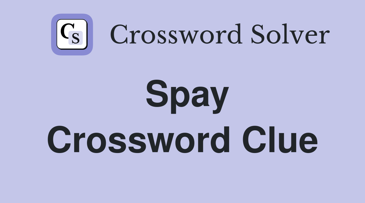 Spay Crossword Clue