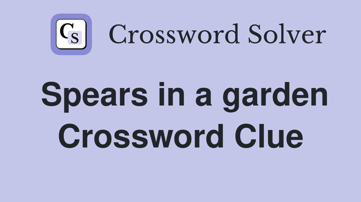 Spears in a garden Crossword Clue