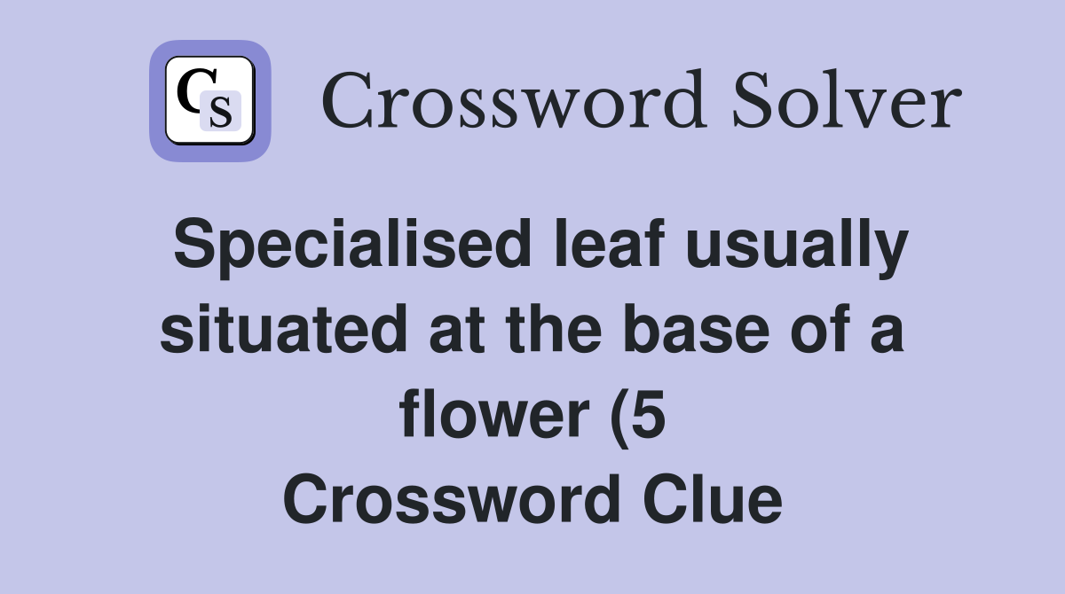 Specialised leaf usually situated at the base of a flower (5 Specialised leaf usually situated at the base of a flower (5