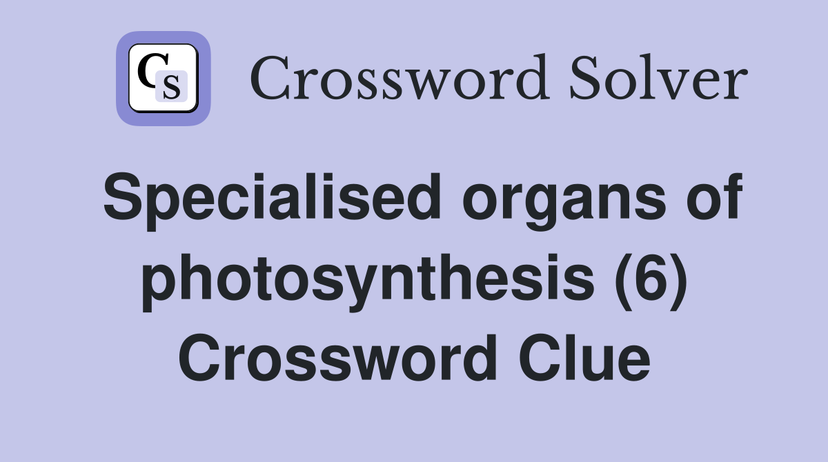 Specialised organs of photosynthesis (6) Crossword Clue