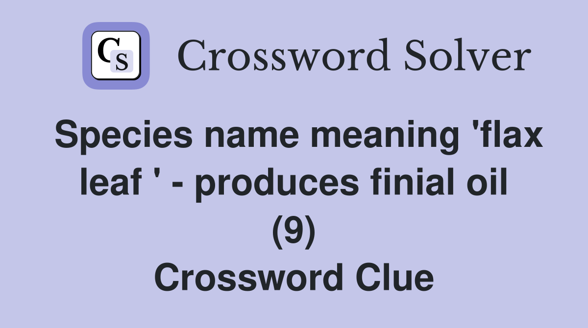 Species name meaning 'flax leaf ' - produces finial oil (9) Crossword Clue