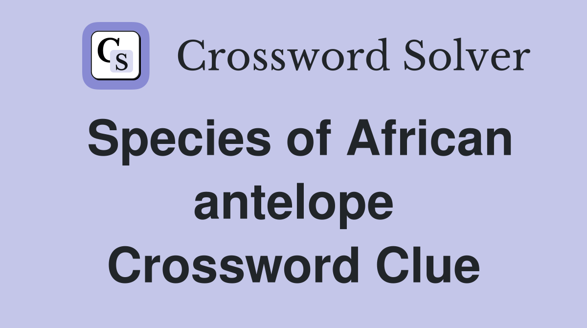 Species of African antelope Crossword Clue