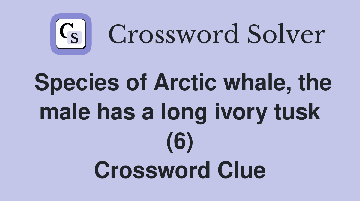 Species of Arctic whale, the male has a long ivory tusk (6) Crossword Clue