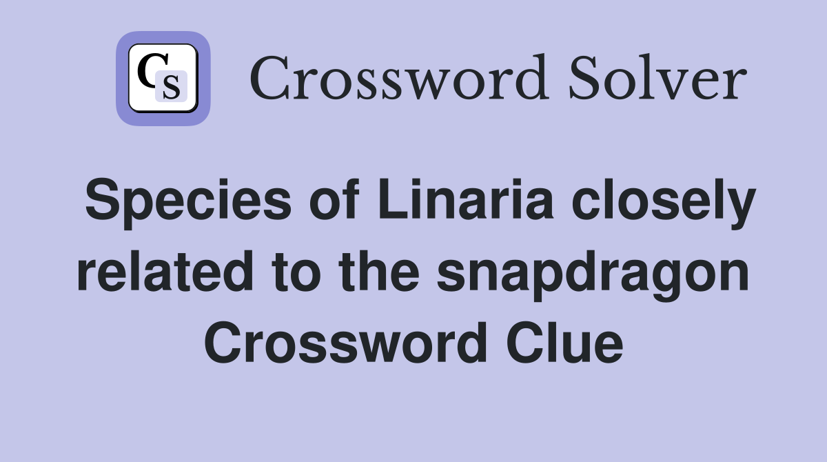 Species of Linaria closely related to the snapdragon Crossword Clue