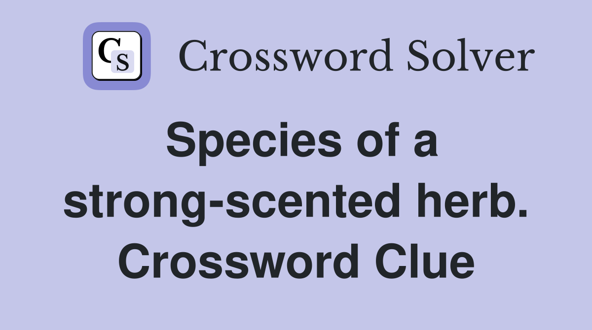 Species of a strong-scented herb. Crossword Clue