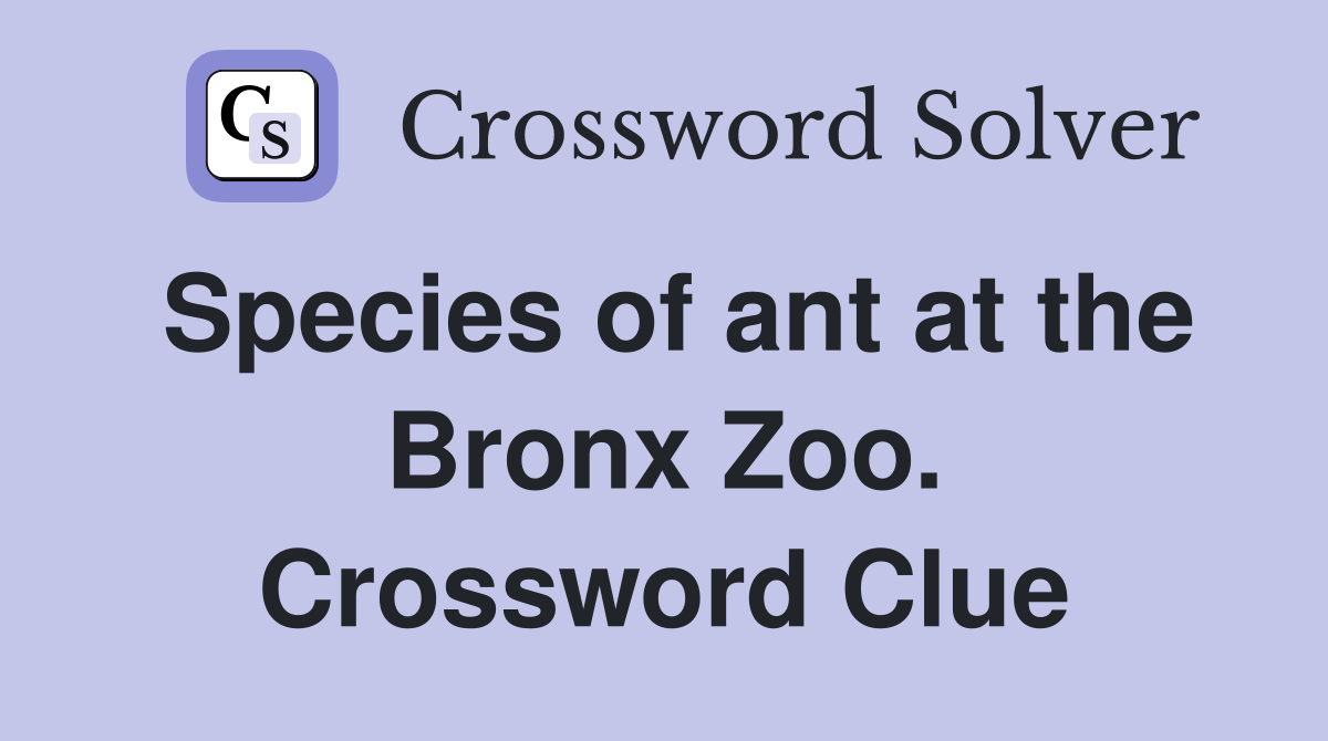 Species of ant at the Bronx Zoo. Crossword Clue