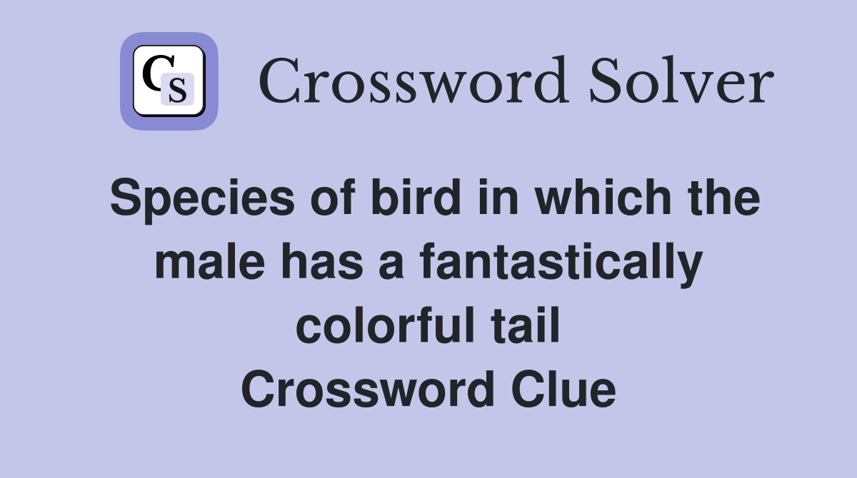 Species of bird in which the male has a fantastically colorful tail Crossword Clue