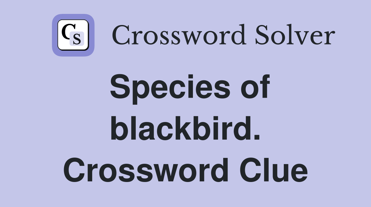 Species of blackbird. Crossword Clue