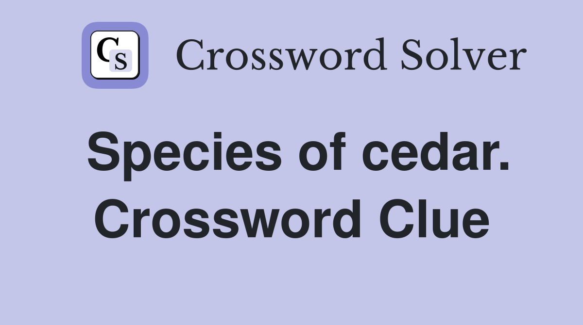 Species of cedar. Crossword Clue