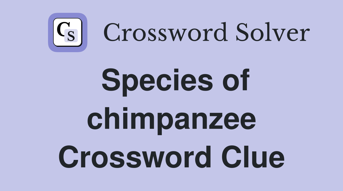 Species of chimpanzee Crossword Clue