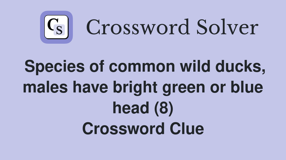 Species of common wild ducks, males have bright green or blue head (8) Crossword Clue